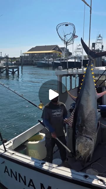 A giant bluefin tuna hanging beside the Anna Maria at a Hampton Bays dock
